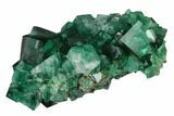 Fluorite Crystal Cluster - Rogerley Mine #143053-2